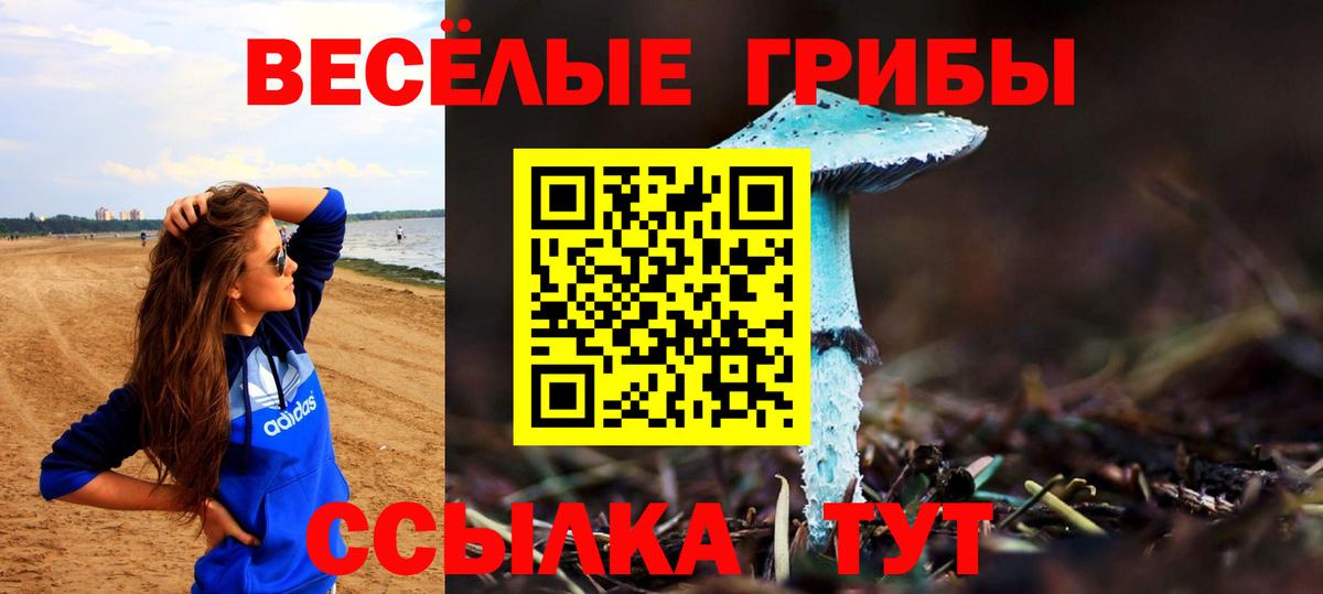 Галлюциногенные грибы MAGIC MUSHROOMS Медногорск